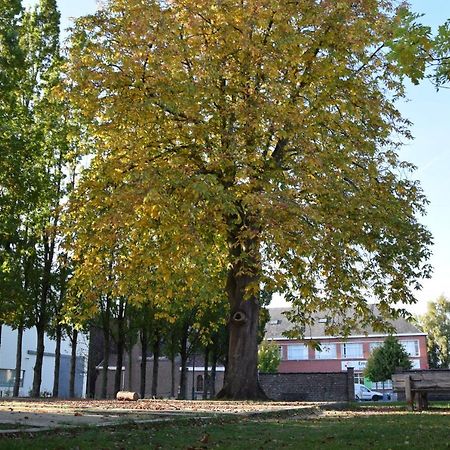 Cacele Raveelzicht Villa Zulte Luaran gambar